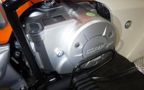 OTHER +GPX POPZ110 2026