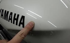 YAMAHA XSR900 GP 2024 RN96J