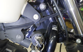 HARLEY XL883N 2015