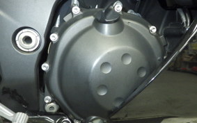 KAWASAKI ZX 1400 NINJA R 2012