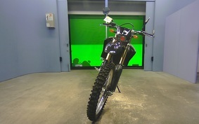 YAMAHA WR250R 2010 DG15J