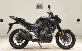 YAMAHA MT-25 A RG74J