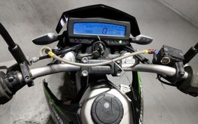 KAWASAKI D-TRACKERX LX250V