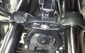 HARLEY PAN AMERICA 1250 S 2021