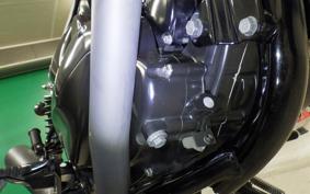 KAWASAKI 250TR 2023 BJ250F