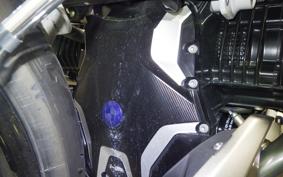 BMW R1250R 2019