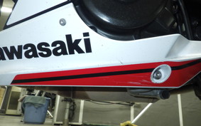 KAWASAKI NINJA 400 2022 EX400G