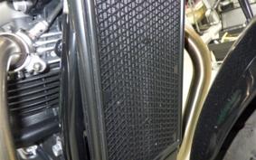 TRIUMPH SPEED TWIN 900 2025