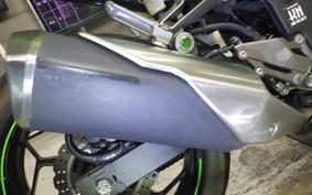 KAWASAKI NINJA 250 EX250L