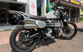 TRIUMPH SCRAMBLER 1200X 2024 DADR0H