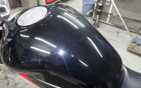 HONDA VTR 250 Gen. 2 2020 MC33