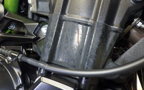KAWASAKI Z900 2021 ZR900B