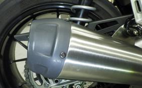 TRIUMPH SPEED TWIN 2024