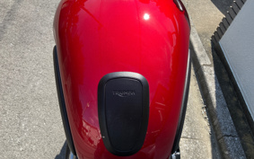 TRIUMPH SPEED TWIN 2024 DAD85H