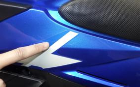 SUZUKI GSX250RA 2007