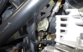 YAMAHA TRICKER 2024 DG10J