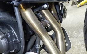 TRIUMPH TRIDENT 660 2024