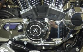 HARLEY L1200LI 2010