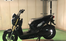 HONDA ZOOMER-X JF38