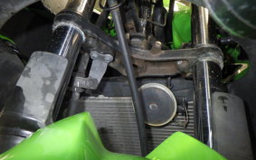KAWASAKI NINJA 250R 2010 EX250K