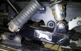 KAWASAKI W800 CAFE 2020 EJ800B
