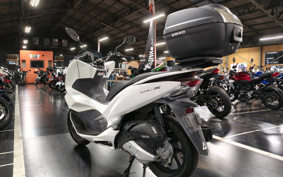 HONDA PCX 125 JF81