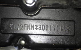 OTHER MUTT250
