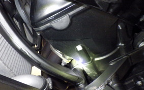 KAWASAKI NINJA 1000 A 2020 ZXT00W