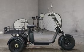 OTHER  BLAZE EV TRIKE  ..