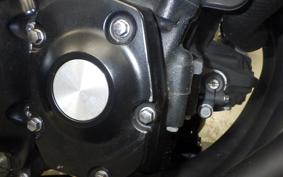 KAWASAKI Z900RS 2019 ZR900C