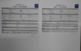 KAWASAKI W800 STREET 2019 EJ800B