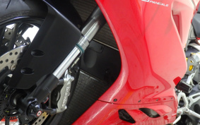 DUCATI 959PANIGA-RE 2018 HA01