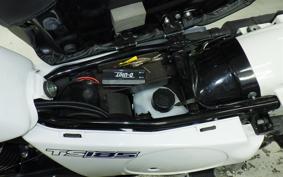 SUZUKI TS185 2017
