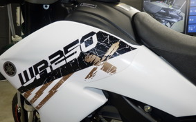 YAMAHA WR250X 2023 DG15J