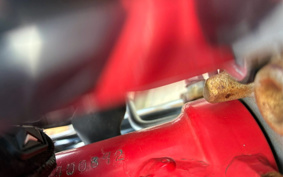 HONDA VTR 250 MC33