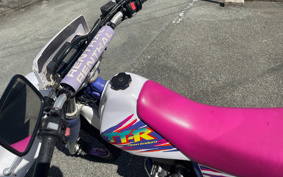YAMAHA TT250R 4GY