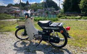 SUZUKI GOOSE 350 1996 NK42A