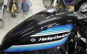 HARLEY XL1200NS 2018
