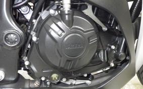 YAMAHA YZF-R25 A 2005 RG10J
