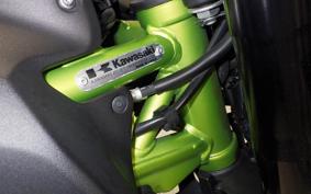 KAWASAKI Z900 2021 ZR900B