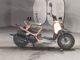 Фото Honda ZUMAR 2007 с японского аукциона