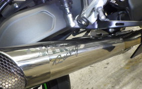 KAWASAKI ZX-25R ZX250E