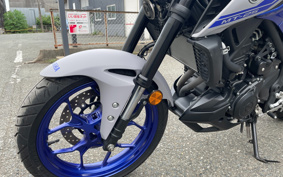 YAMAHA MT-25 ABS RG43J
