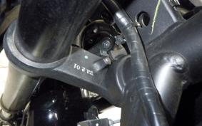 YAMAHA YZF R-3 2024 RH21J