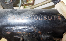 HONDA MONKEY Z50J
