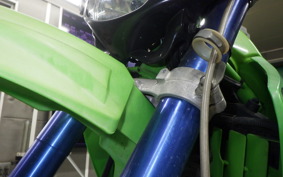 KAWASAKI KDX250SR 2012 DX250F