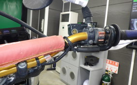 HONDA XLR250 BAJA GEN 2 2015 MD22