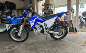 YAMAHA WR250R DG15J