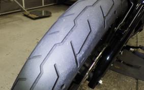 HARLEY XL1200NS 2020