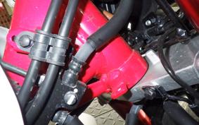 HONDA MONKEY 125 JB05